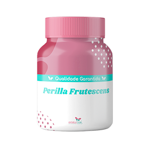 Perilla Frutescens
