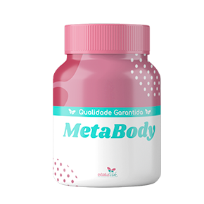 MetaBody